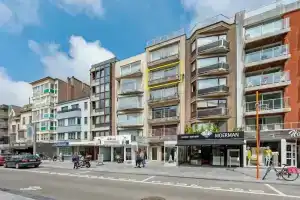 Flandria 401, Коксид