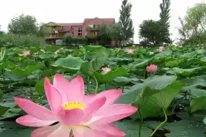 База отдыха «Усадьба Кузьмича», Обуховский