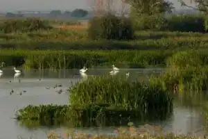 ГБУ ВО ПП Волго-Ахтубинская Пойма, Средняя Ахтуба