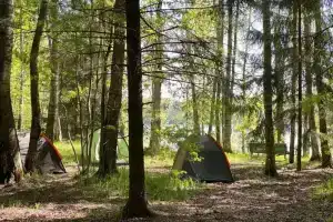 Истра Кемпинг, Рождествено