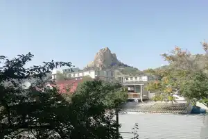 Дом для отпуска «Саша», Курортное