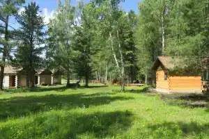 Усадьба «Кедровка», Мульта