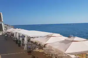 Дельфин, Лоо