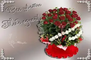 Гостиница, Абадзехская