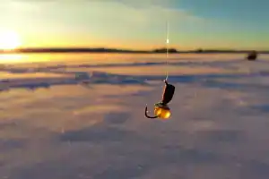 Дом Рыбака, Брейтово