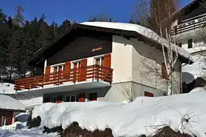 Kirschstein Ug, Фиш