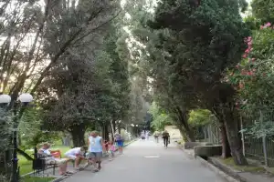 Пансионат «Хоста», Хоста