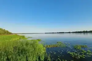 База отдыха «Зелёный уголок» в Костромской области