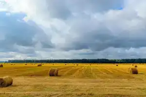 Подворье Тириново в Александровском районе