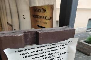 Гостевой дом «у Московского вокзала», Санкт-Петербург
