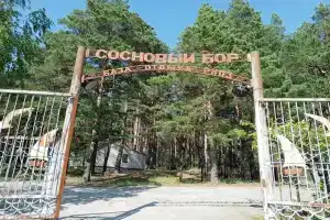 База отдыха «Сосновый бор» в Спасском районе