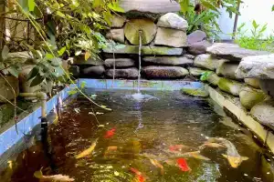 Мини-гостиница «Виктория», Лазаревское