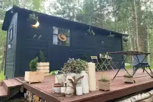 База отдыха «TinyDacha Можжевельник», Волковское