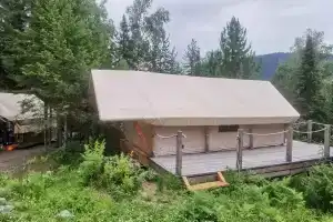 Кедровая берлога