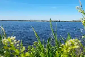 Усадьба «Ерши», Беловка