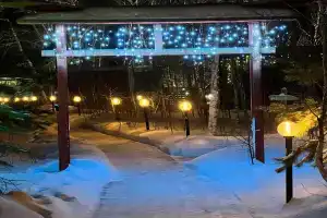 База отдыха «ForestHouse», Чернолучье