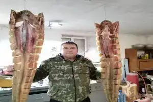 Гостевой дом «Сазаний угол», Сазаний Угол