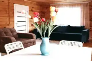 База отдыха «Алтай Эко Кедр», Акташ