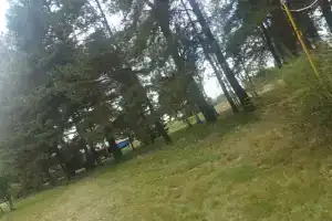 Олимпия, Винзили