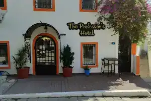 The Professor's Hotel, Гюмбет