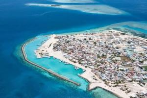 One The Island, Нейфару