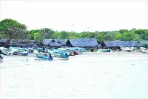Yala Wilderness Safari Camp, Тиссамахарама