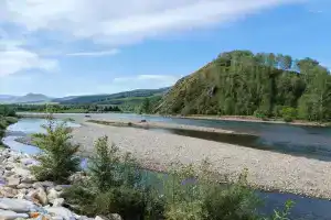 Чарыш, Чарышское