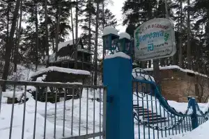 Берёзка, Тольятти