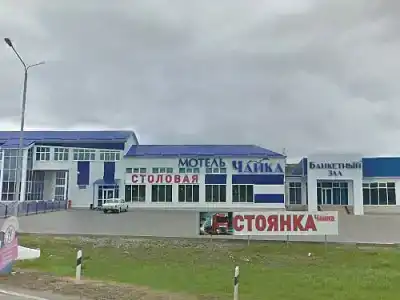 Чайка - 0