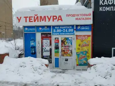 у Теймура - 12