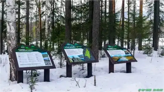 Веселый ключ - 31