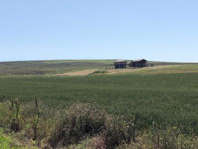 Фридом Веселовка - 86