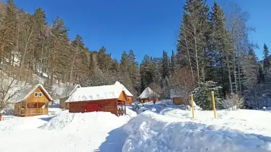 Таловский лог - 58