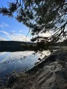 Чайка 1918 - 77