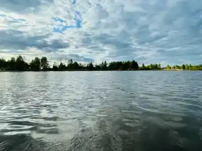 Амелия.Дача - 14