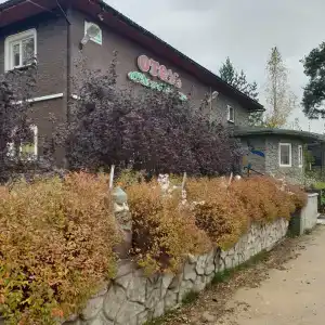 Оазис - 1