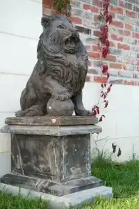 Замок La Ferme de Reve - 18