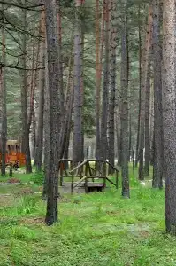 Эльбрус Марал - 9
