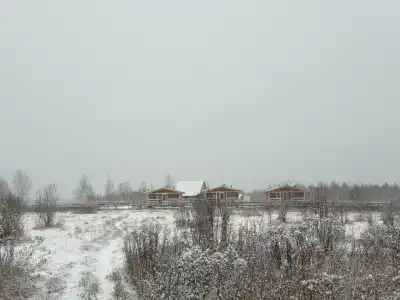ПолеДом - 65