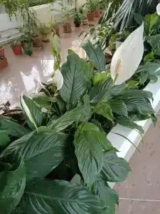 Байкал - 76