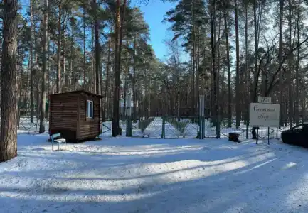 Сосновый бор - 42
