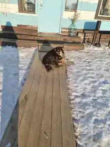 Усадьба Никиты Бенчарова - 62