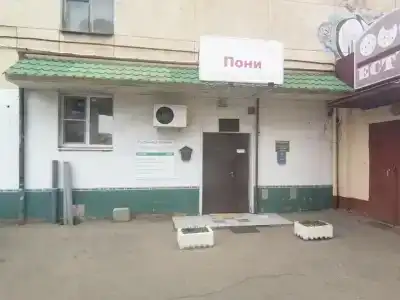 Пони - 16