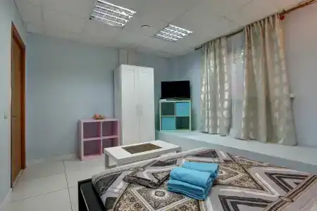 Брусника - 3