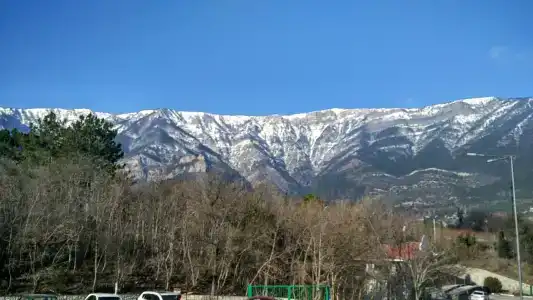 Борода - 35
