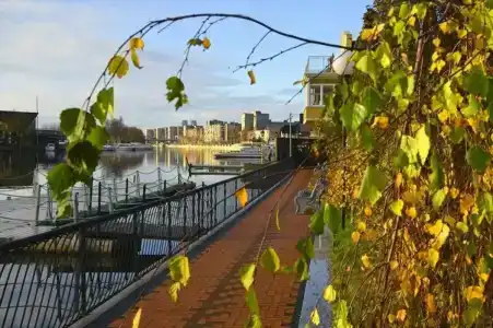 РиверСайд - 11