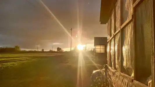 Бояринцево - 40