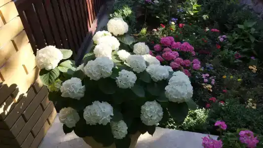 Симеиз-тур - 40