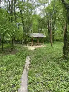 Сытый Кот - 30