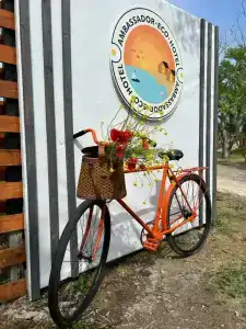 Амбассадор - 15